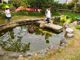 園庭の池