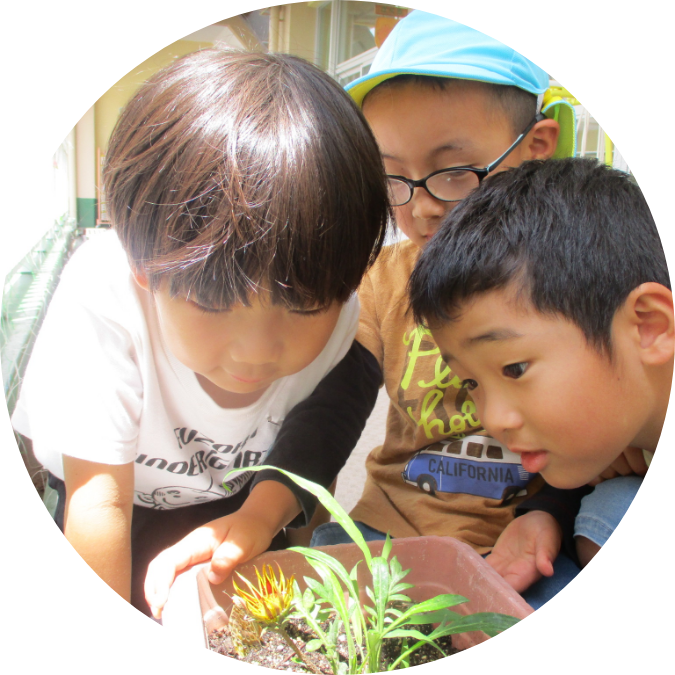 人、ものと共に生活を創る子どもの様子 イメージ