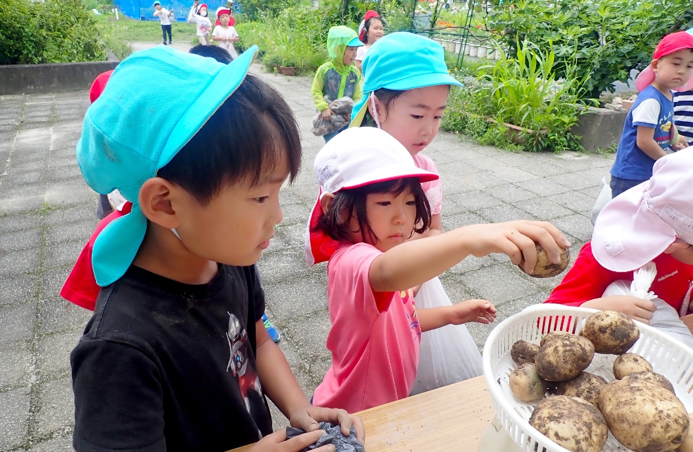6月の様子
