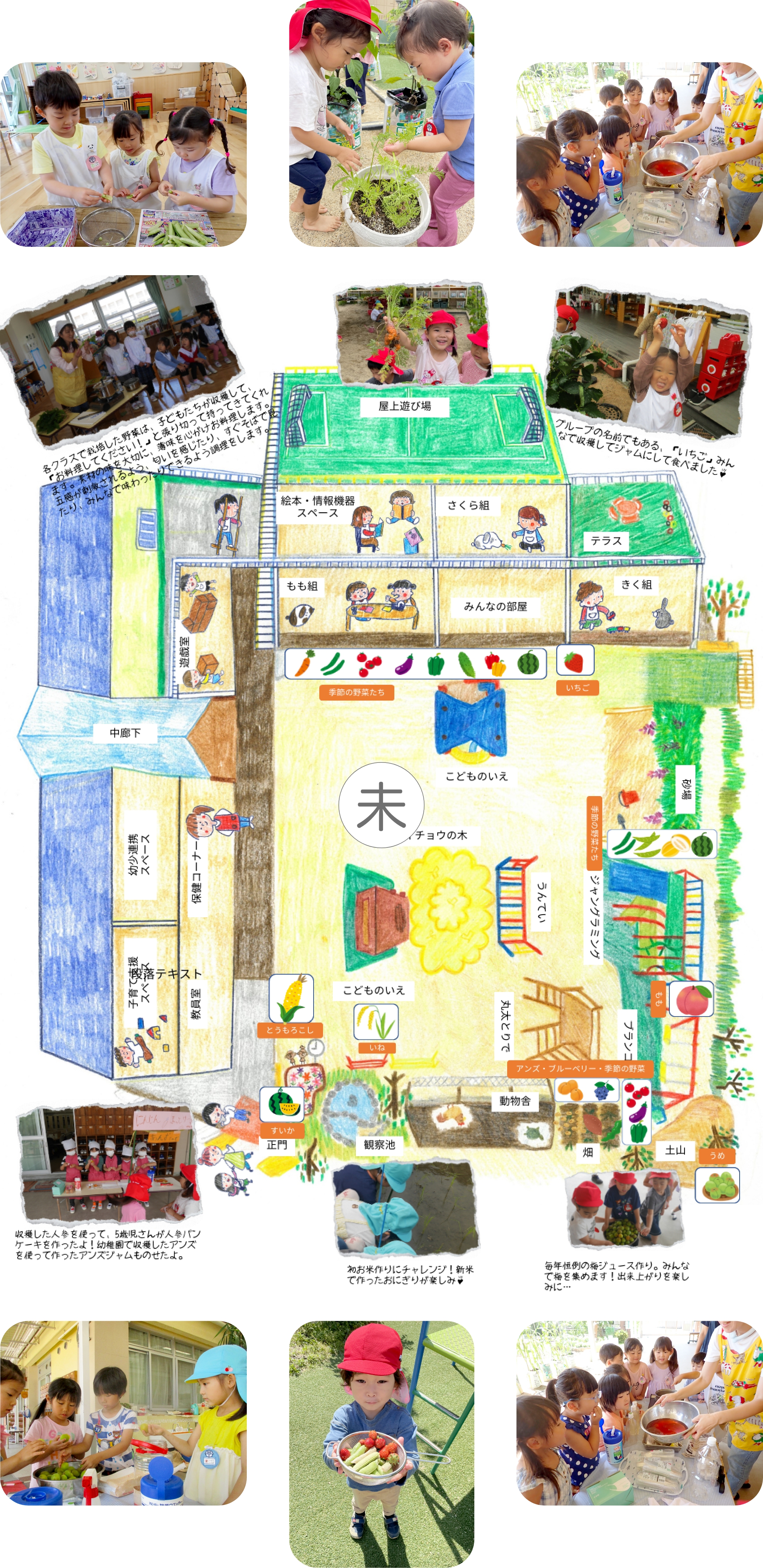 園外保育の様子 イメージ