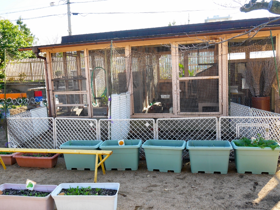 鶏小屋の様子 イメージ